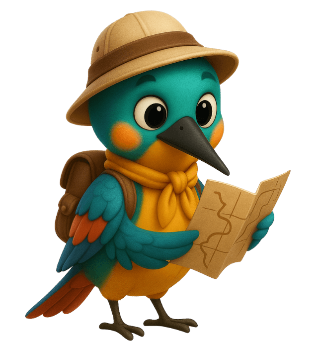 Coli exploring Mexico